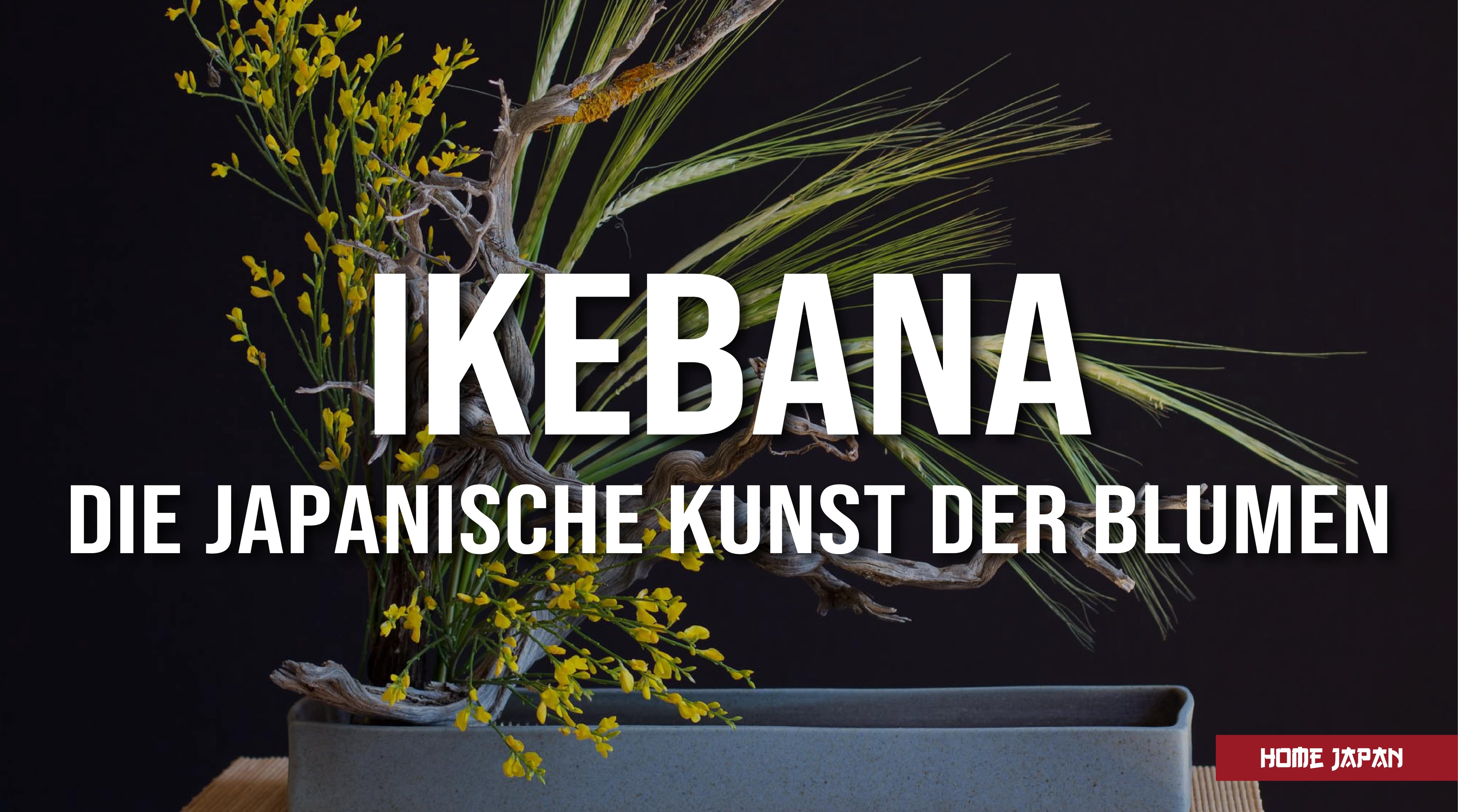 ikebana