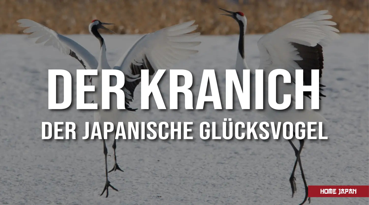 Japanischer Kranich