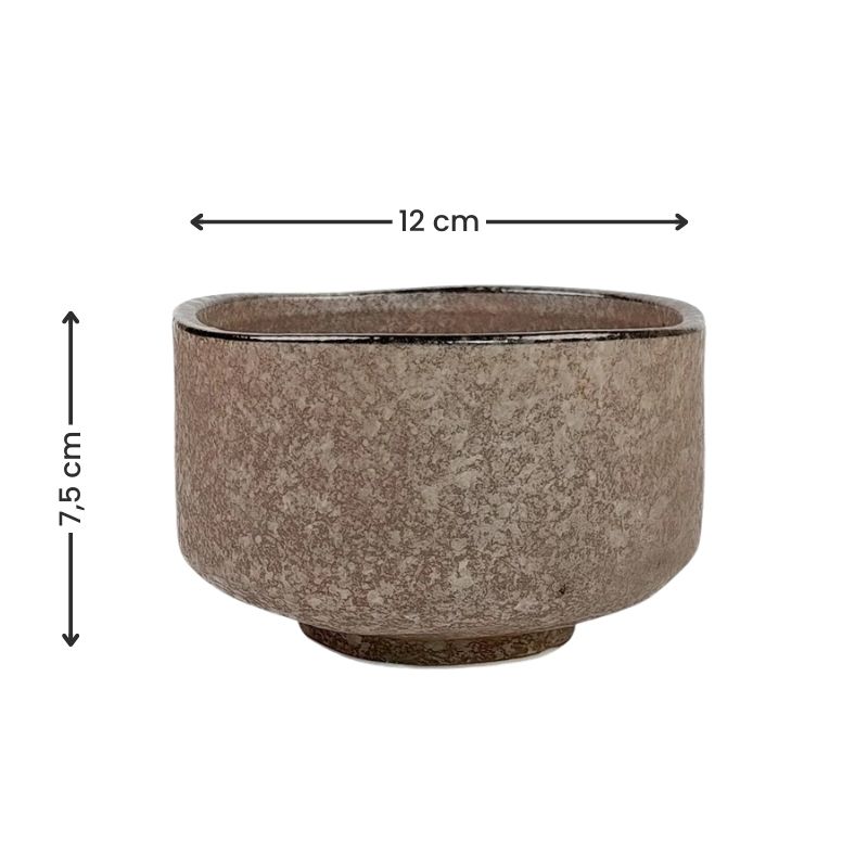 Chawan Matcha Tee Schale