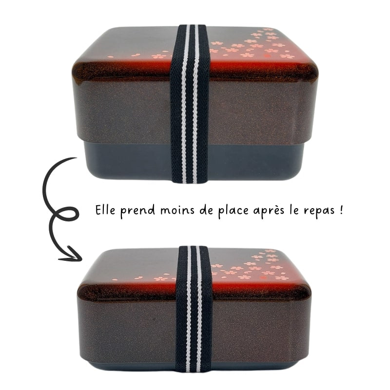 Japanische Bento-Box Blossom