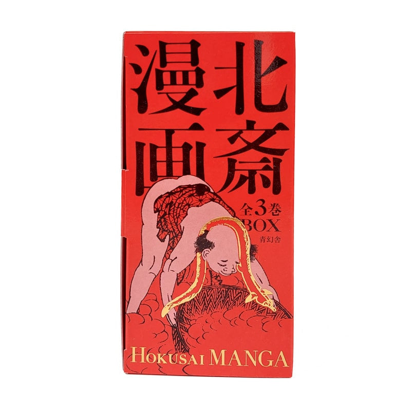 Hokusai Manga Art Books Box