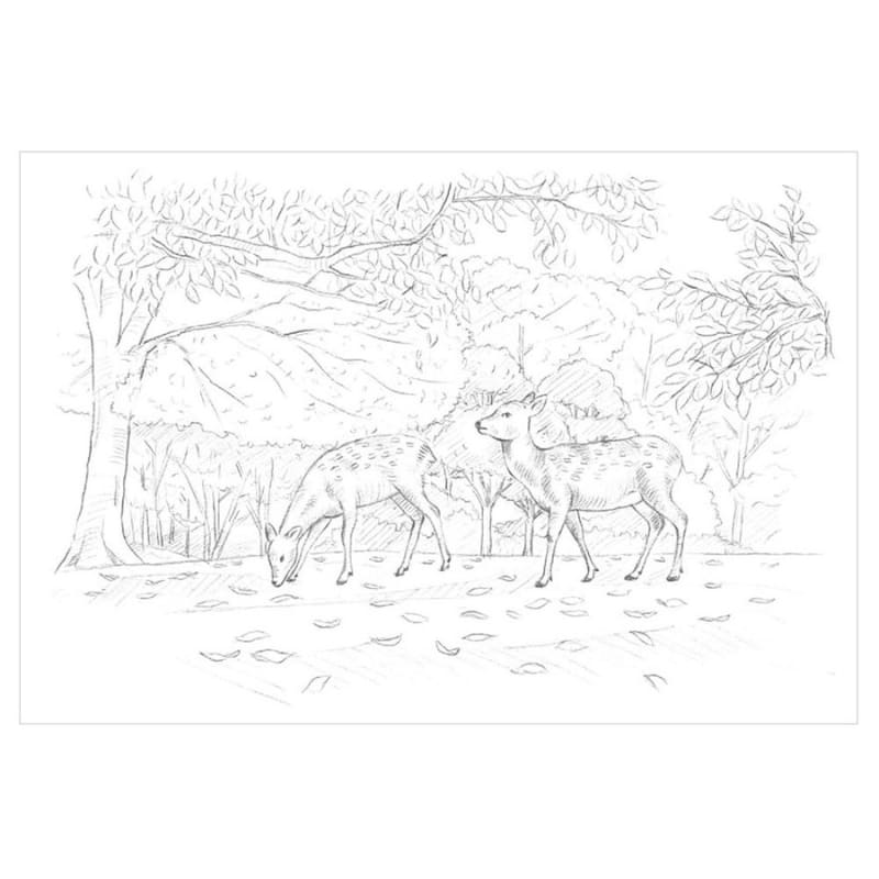 Ausmalbilder für Erwachsene: Die vier Jahreszeiten von Nara