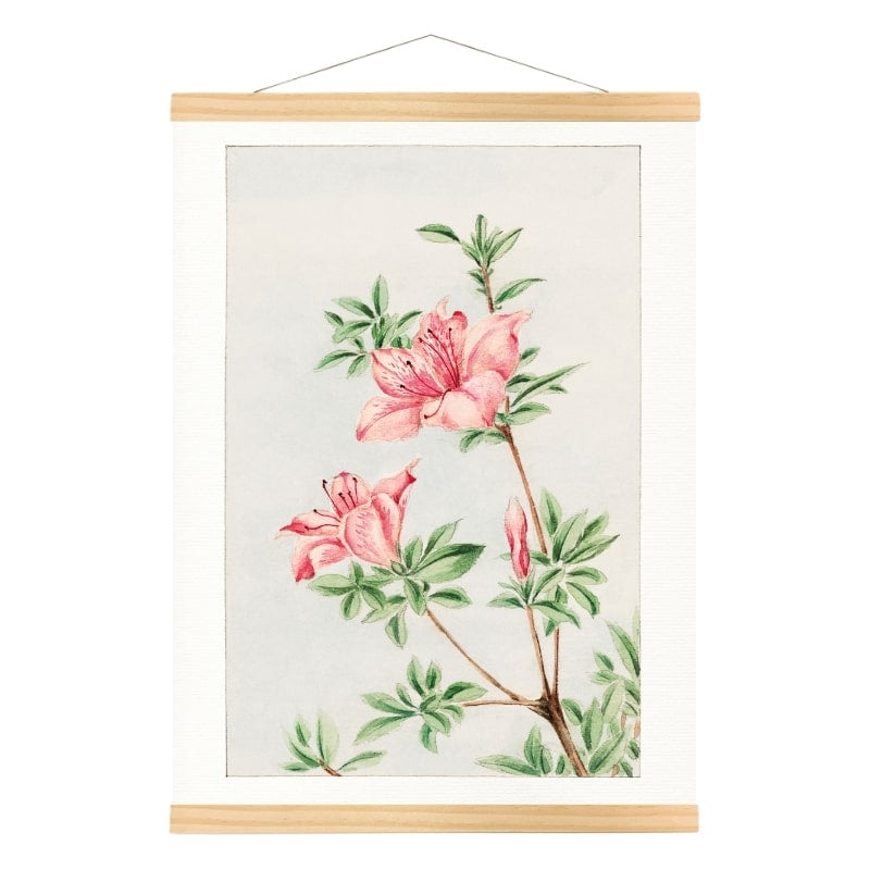 Japanischer Stempel Azalee aus Japan - A3