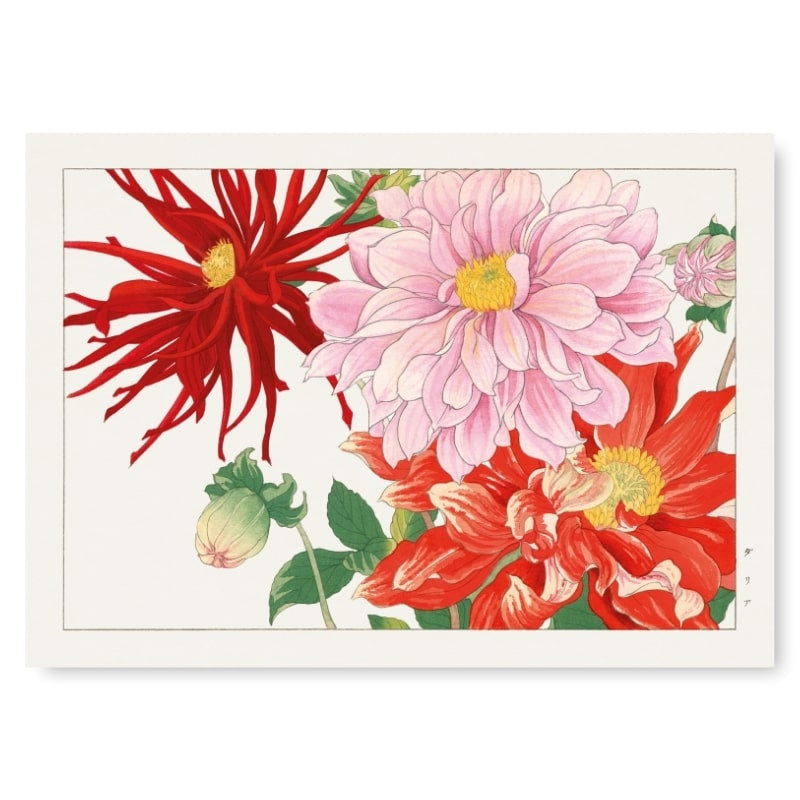 Japanische Drucke - Dahlienblüte A3