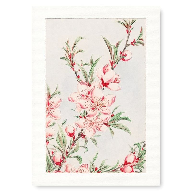 Japanische Drucke - Pfirsichblüten A3