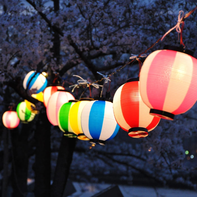 Japanische Laterne Chochin Grün-Weiß