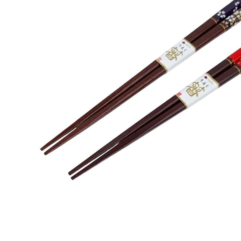 Japanisches Essstäbchen-Set Rot & Blau