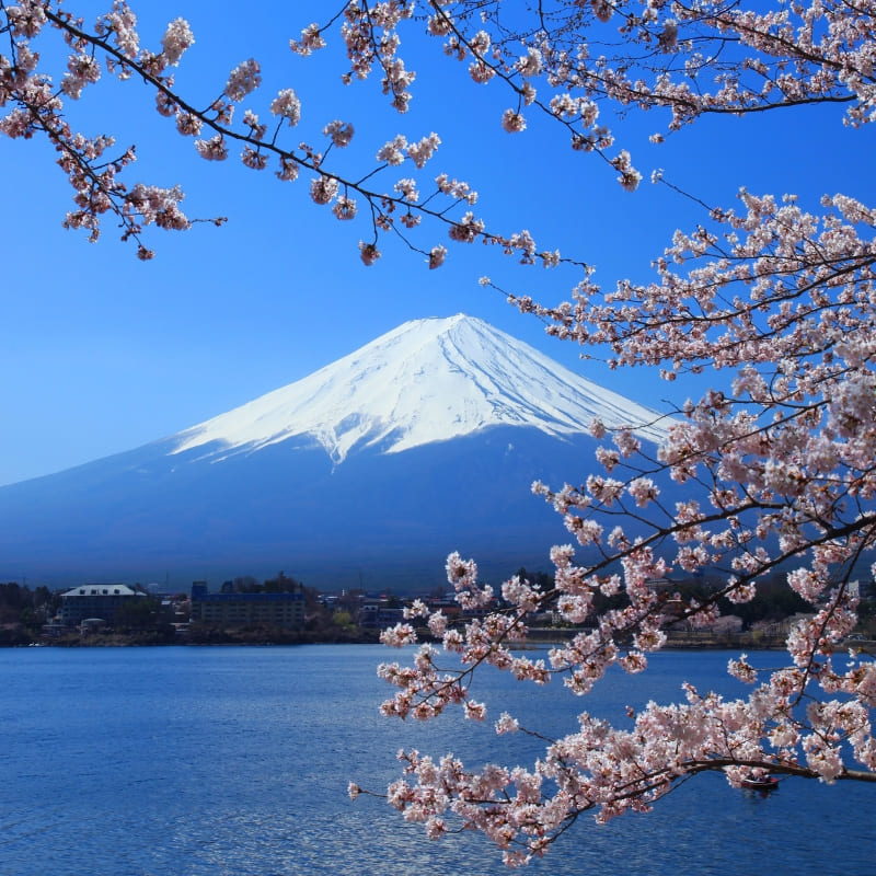 Japanisches Miniaturmodell - Berg Fuji