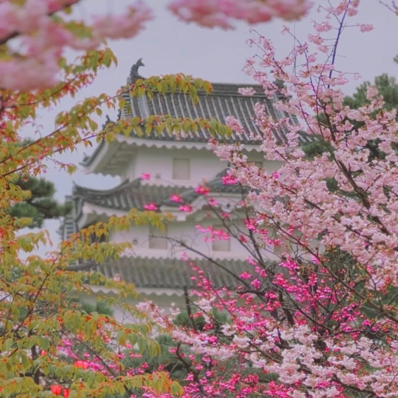 Japanisches Miniaturmodell - Schloss Takamatsu