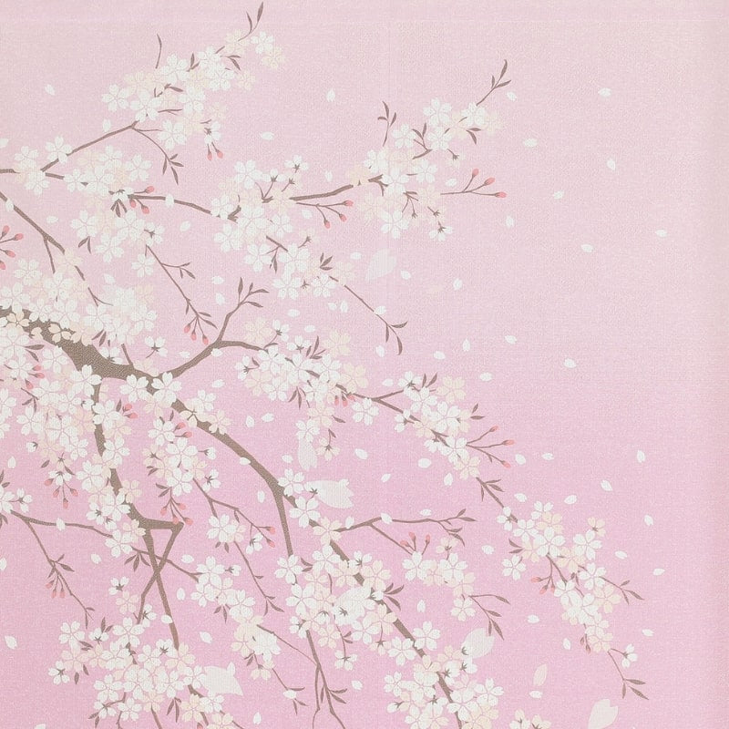 Japanische Noren Sakura Usagi - 85 x 150 cm