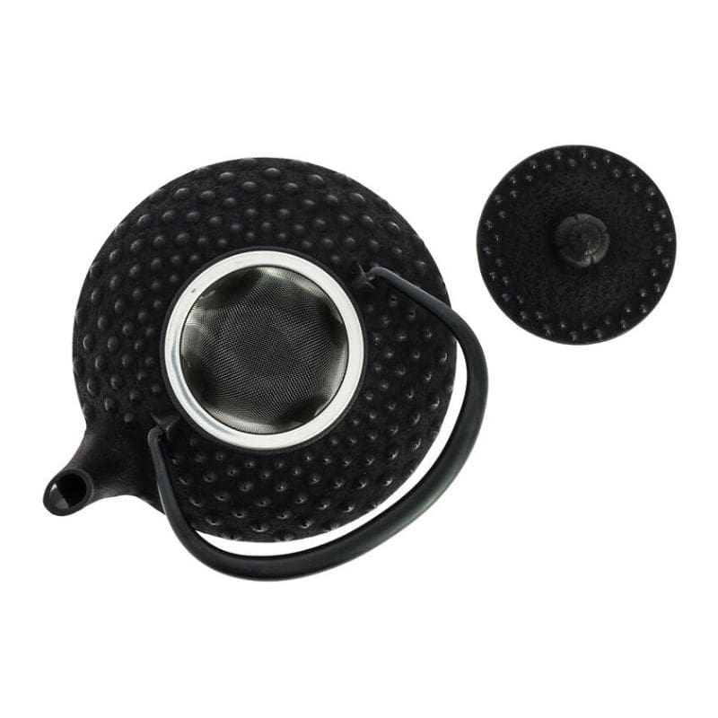 Théière Japonaise Fonte Iwachu Noire 350 ml