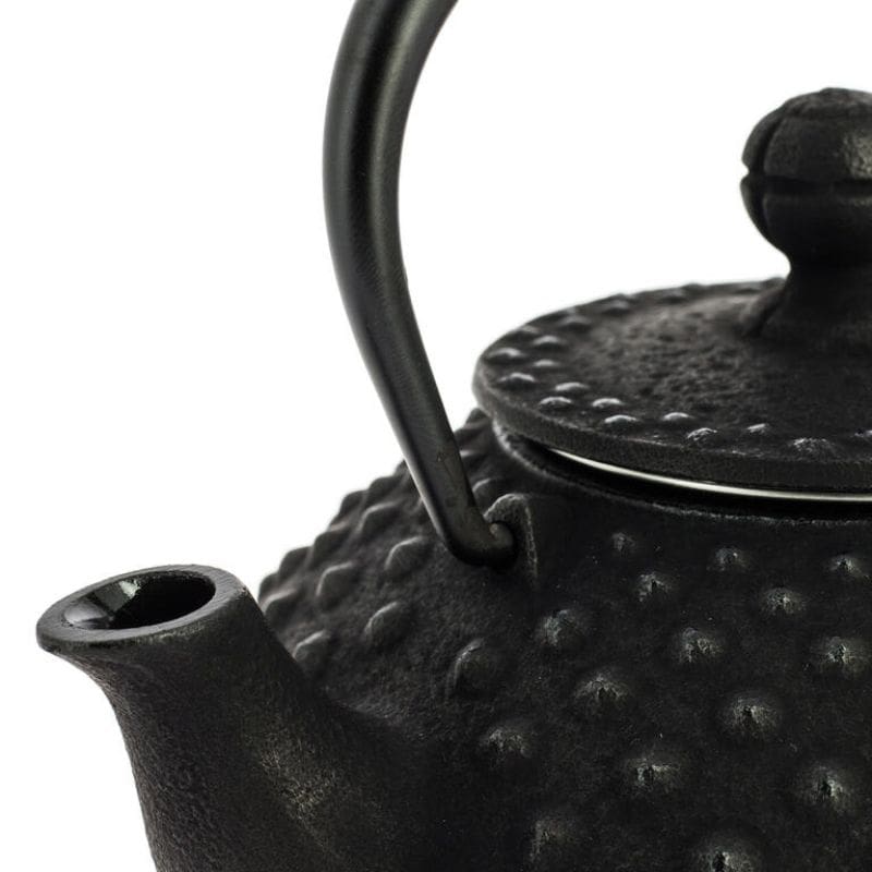 Théière Japonaise Fonte Iwachu Noire 350 ml