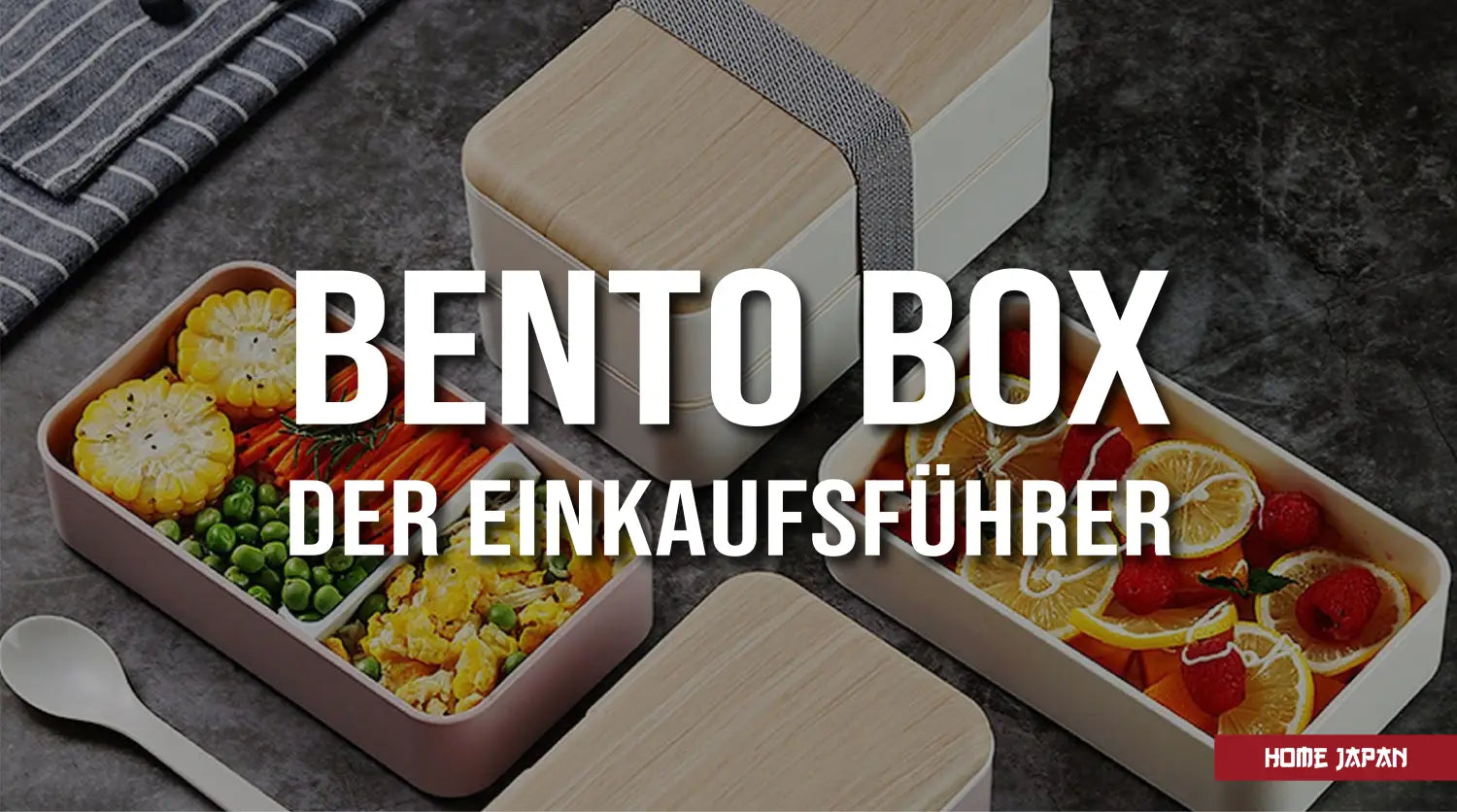 Der Einkaufsführer für die Wahl einer Bento-Box