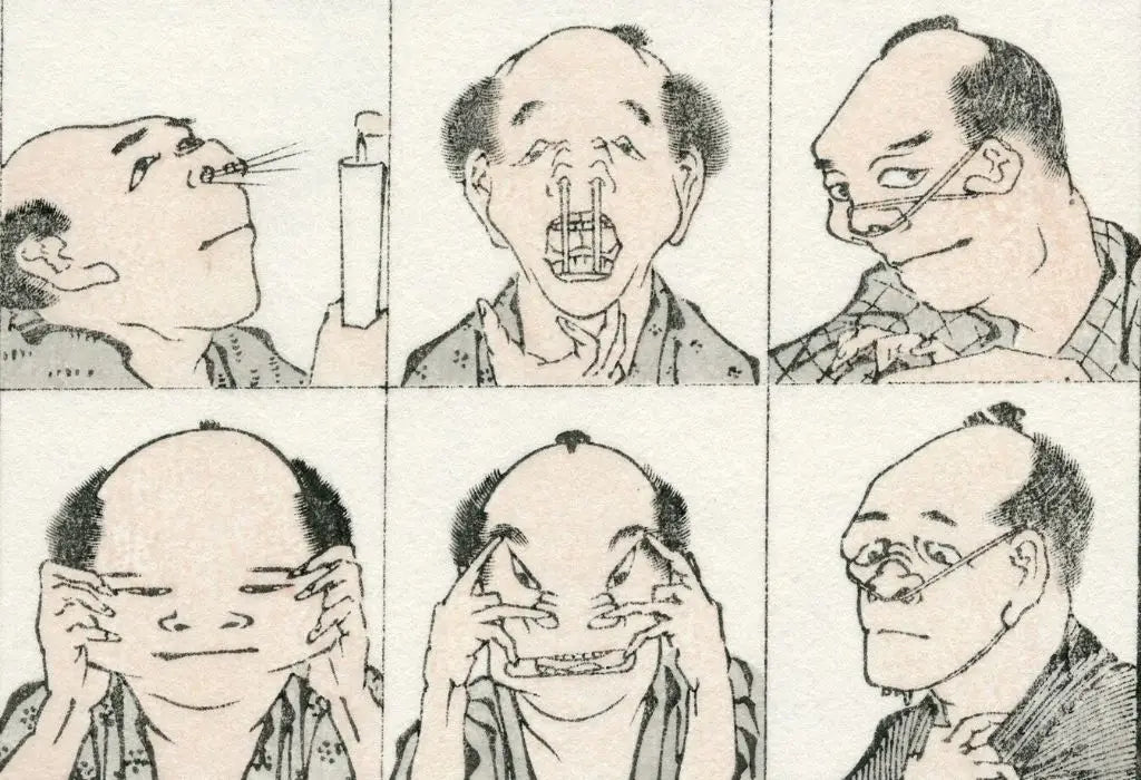 Manga Hokusai