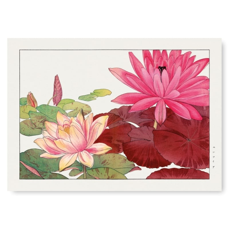 Japanischer Stempel Nymphaea Lotus - A3