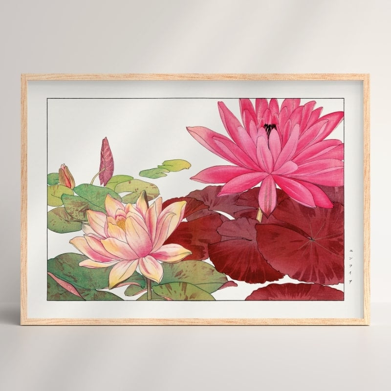 Japanischer Stempel Nymphaea Lotus - A3