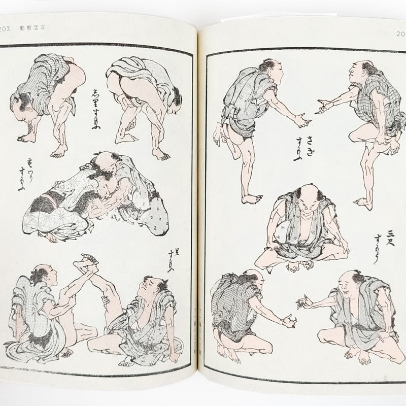 Hokusai Manga Kunstbuch Box