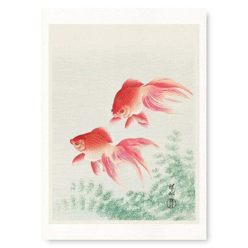 Japanische Drucke - Goldfisch A3