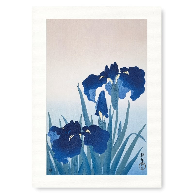 Japanische Drucke - Iris Blau A3