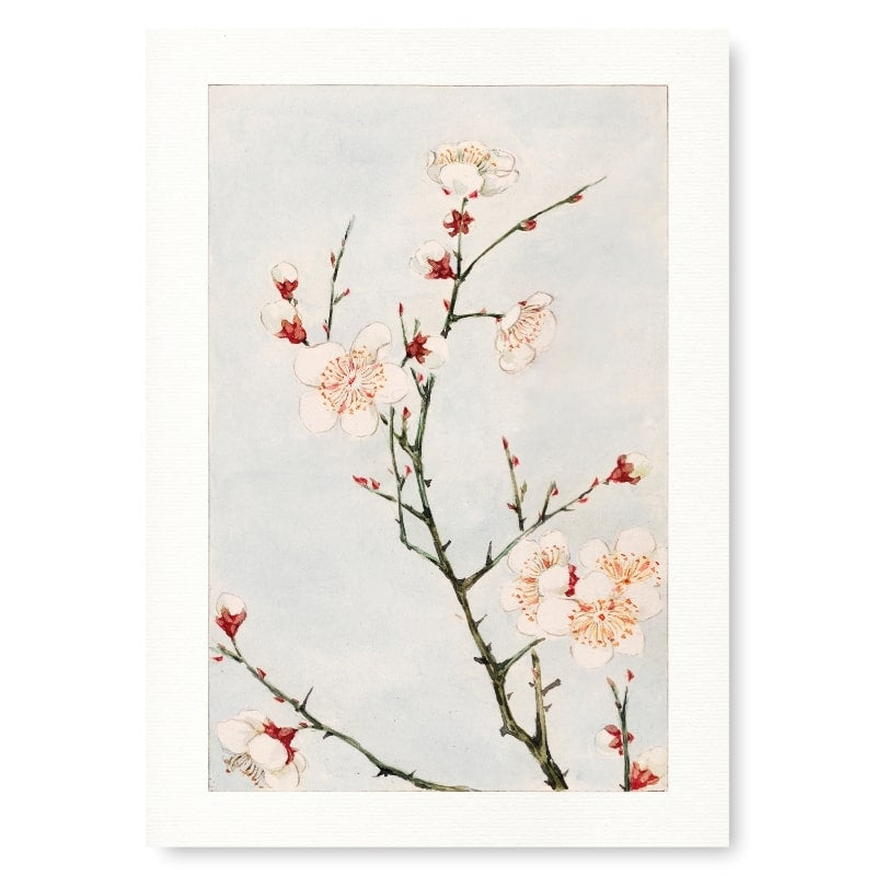 Japanische Drucke - Pflaumenblüten A3