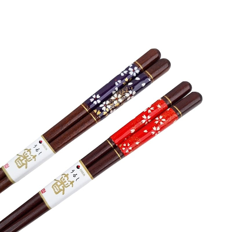 Japanisches Essstäbchen-Set Rot & Blau