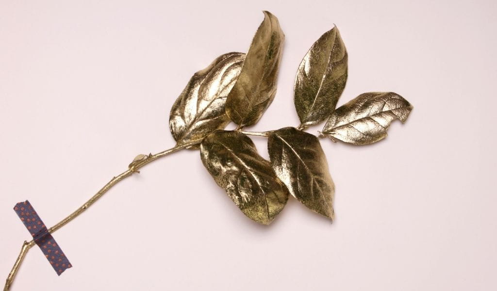 Die Schönheit der Unvollkommenheit