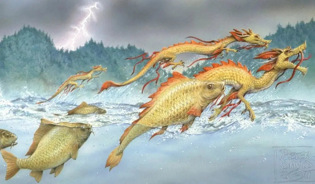 Die Legende des Koi-Karpfen