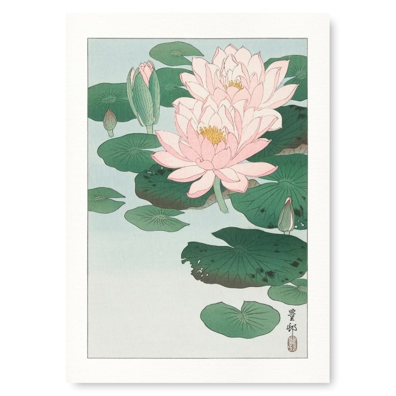 Poster - Stempel Seerosen A3