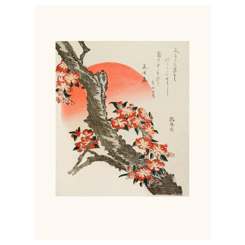 Japanisches Poster Kirschblüte - A3